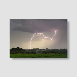POSTER : ELECTRIC SNAKE