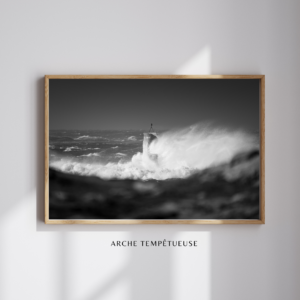 ARCHE TEMPÊTUEUSE