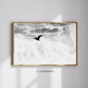 LE CORMORAN