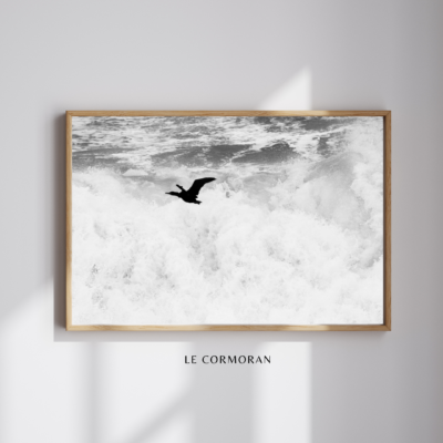 LE CORMORAN